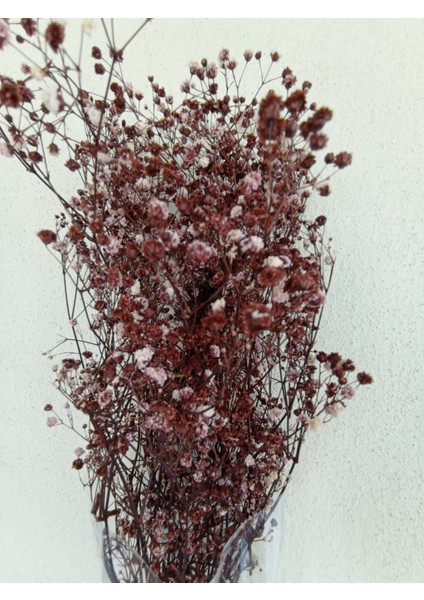 Esse Bahçe Şoklu Cipso 50 gr Demet