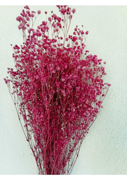 Şoklu Cipso 50 gr Demet