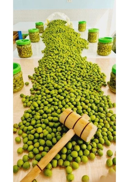 Halhali Kırma Yeşil Zeytin 5 kg modelleri
