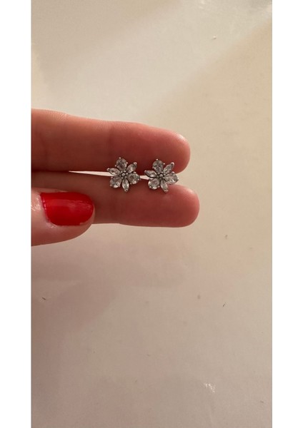 Işıltılı Herbaryum Çivi Küpe fırsatları