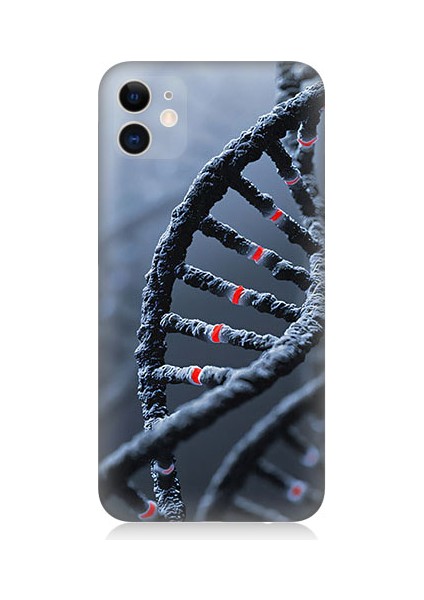 Apple iPhone 11 Uyumlu Dna Sarmalı Desenli Silikon Kılıf