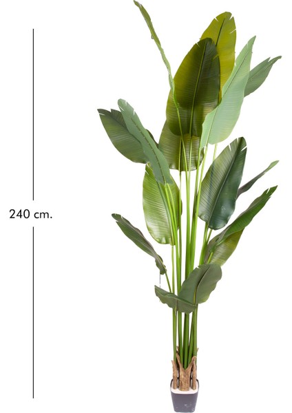 Yapay Starliçe Ağacı Gerçek Dokunuş 16 Yaprak Yeşil 240 Cm.