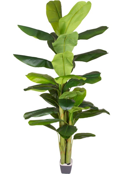 Yapay Muz Ağacı Gerçek Dokulu 38 Yaprak Yeşil 230 Cm.