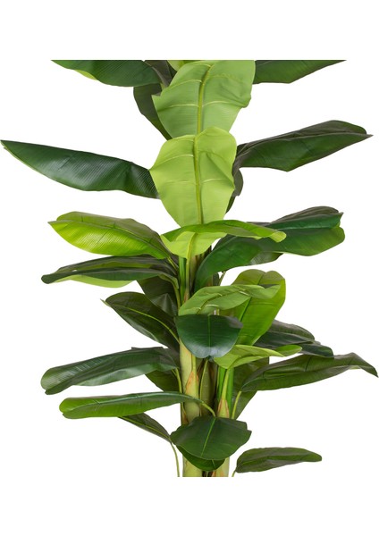 Yapay Muz Ağacı Gerçek Dokulu 38 Yaprak Yeşil 230 Cm. fiyatları
