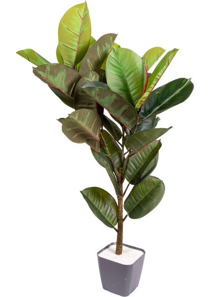 Yapay Kauçuk Ağacı Gerçek Dokulu 32 Yaprak Yeşil 100 Cm.