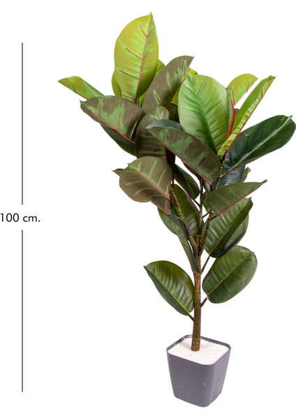 Yapay Kauçuk Ağacı Gerçek Dokulu 32 Yaprak Yeşil 100 Cm.