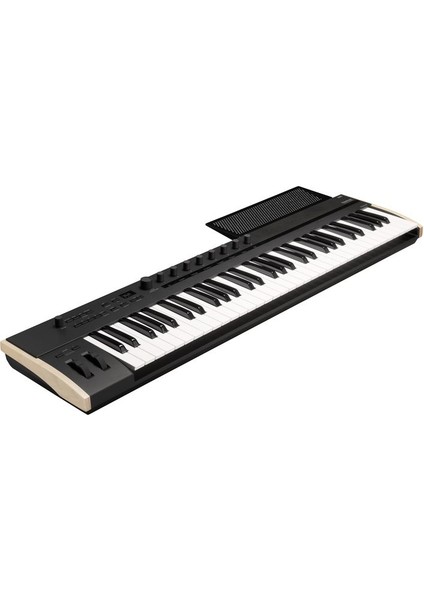 Keystage-61 Tuş Controller/mıdı Keyboard modelleri