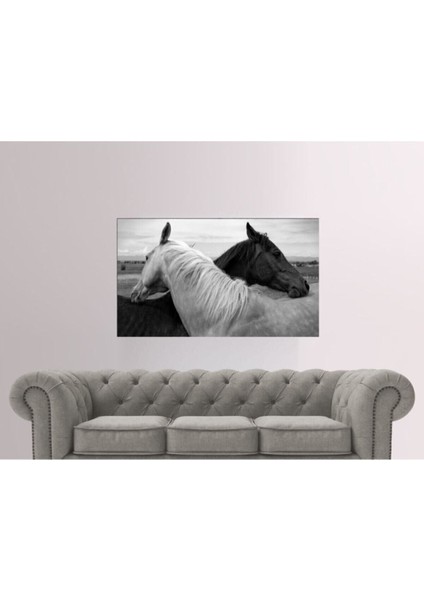 70X100 cm Siyah Beyaz At Temalı - Her Mekana Uygun Dekoratif Hd Baskı Kanvas Tablo