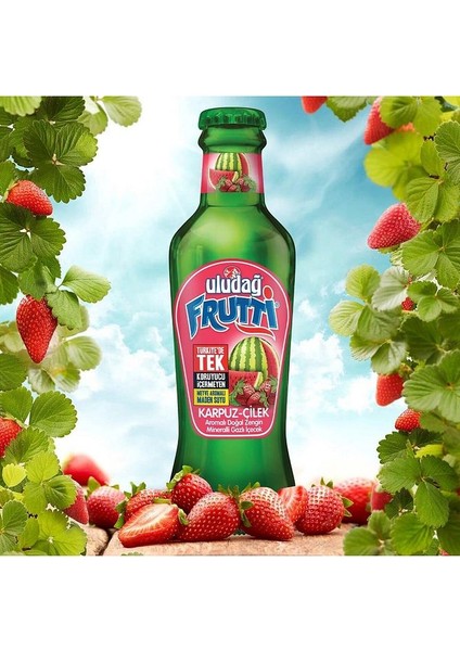 Frutti Karpuz Çilek Aromalı Maden Suyu 200 ml x 24 Adet