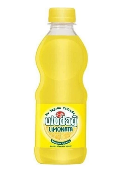 Limonata Pet Şişe 250 ml  x 24 Adet