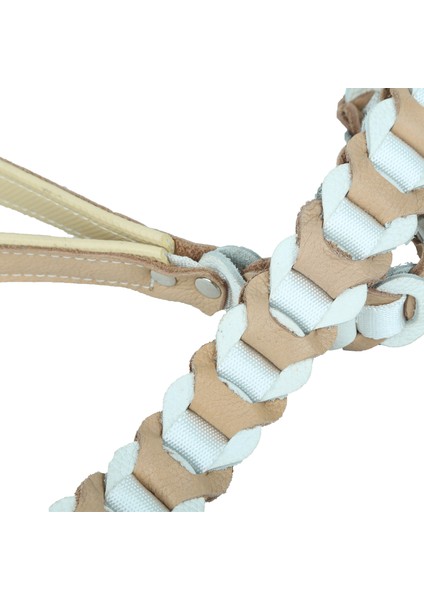 Deri Örgü Köpek Gezdirme Kayışı fiyatları