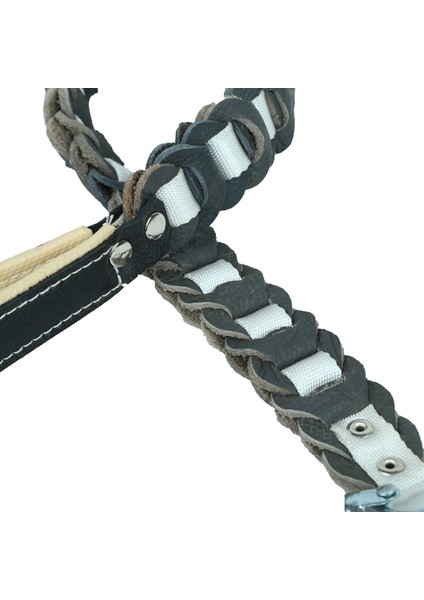 Deri Örgü Köpek Gezdirme Kayışı fiyatları