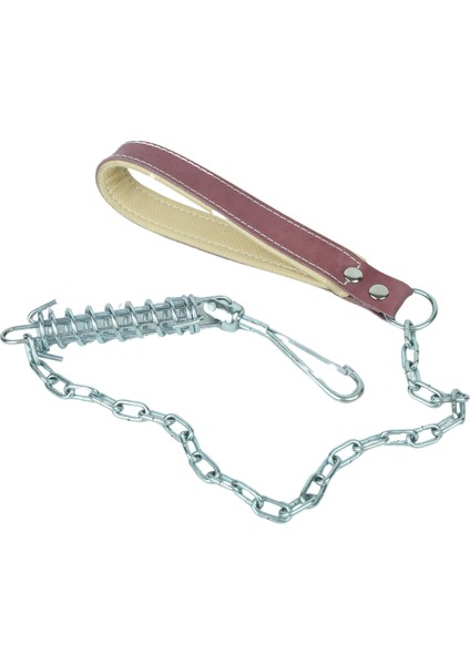 Yaylı Zincir Köpek Gezdirme Kayışı