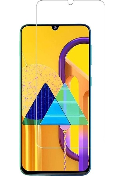 Telbor Samsung Galaxy M30S Nano Cam Ekran Koruyucu Şeffaf Extra Darbe Emici - Extra Ince