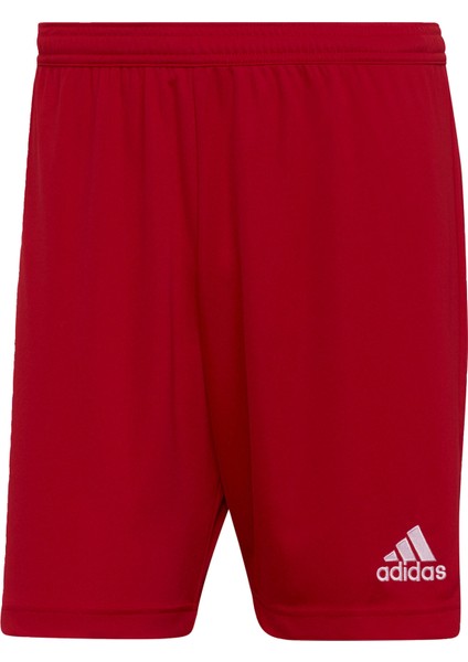 Adidas Performance H61735 Entrada 22 Shorts