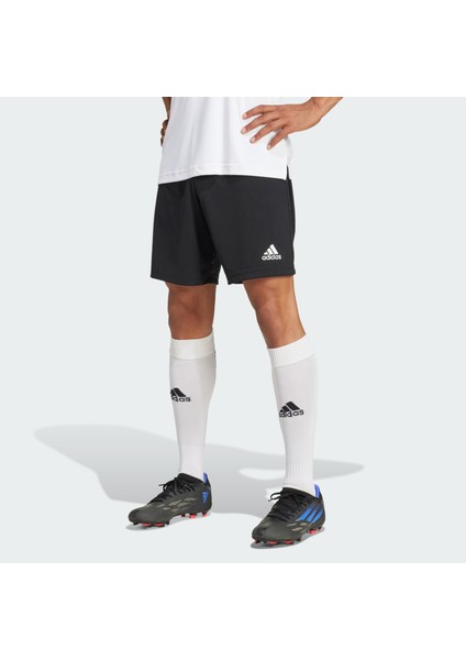 Adidas Performance H57504 Entrada 22 Shorts