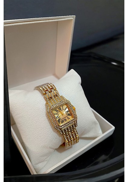Zirkon Taşlı Şık Roma Rakamlı Kadın Kol Saati fiyatları