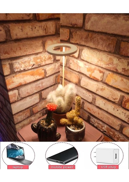 Bitki LED Lamba DC5V USB Bitki Geliştirme Tam Spektrumlu Bitki Yetiştirme Melek Halka Günışığı modelleri