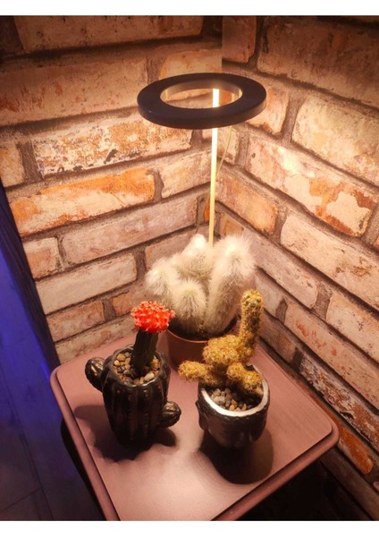 Bitki LED Lamba DC5V USB Bitki Geliştirme Tam Spektrumlu Bitki Yetiştirme Melek Halka Günışığı fırsatları