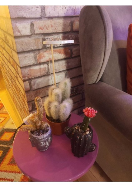 Bitki LED Lamba DC5V USB Bitki Geliştirme Tam Spektrumlu Bitki Yetiştirme Melek Halka Günışığı indirimleri