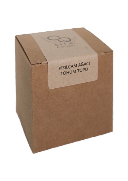 Kızıl Çam Ağacı Tohum Topu | Yeşil Hediye