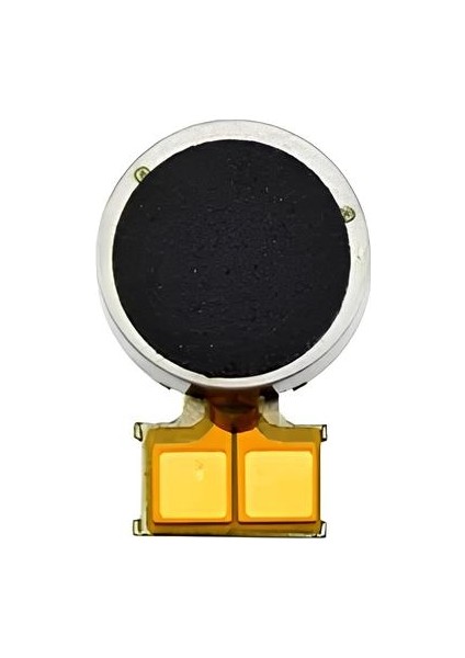 Samsung Galaxy S10 - SM-G973F Titreşim Motoru Flex