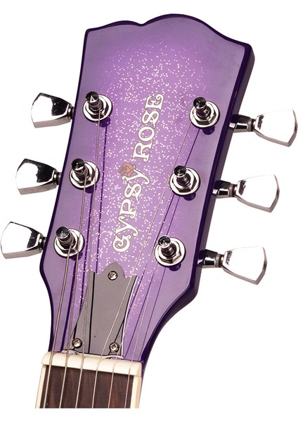 GRE2KCPP Elektro Gitar Rose Set