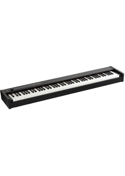 D1 Digital Piano