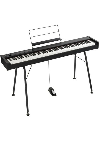 D1 Digital Piano