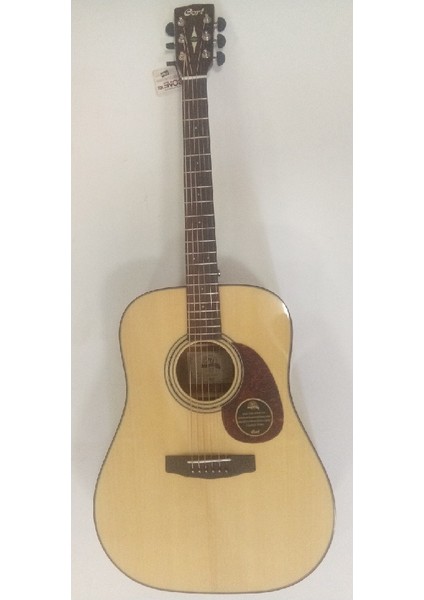 EARTH20TH-FNAT Elektro Akustik Gitar