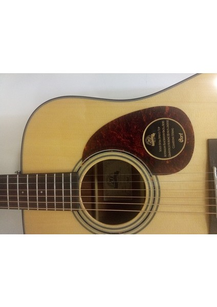 EARTH20TH-FNAT Elektro Akustik Gitar
