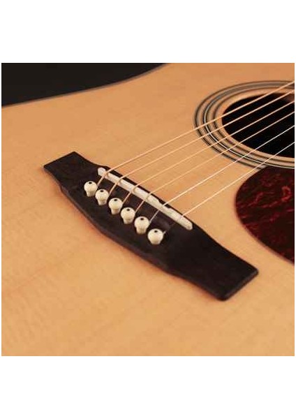 EARTH100NS Akustik Gitar