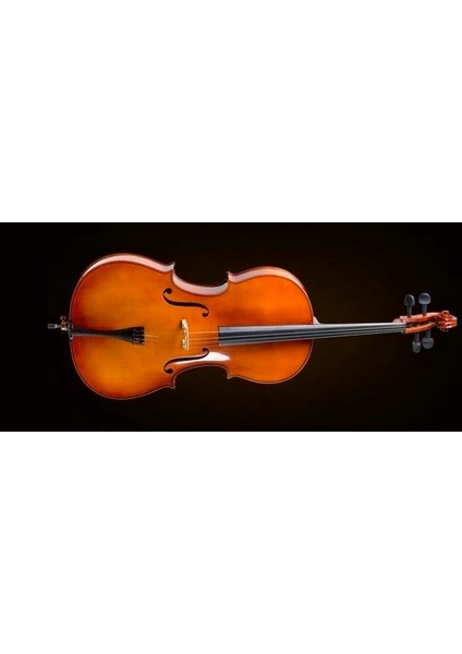 CE400G14 Cello Kılıflı