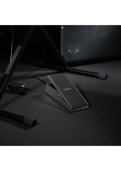 Expression Volume Pedal 20
