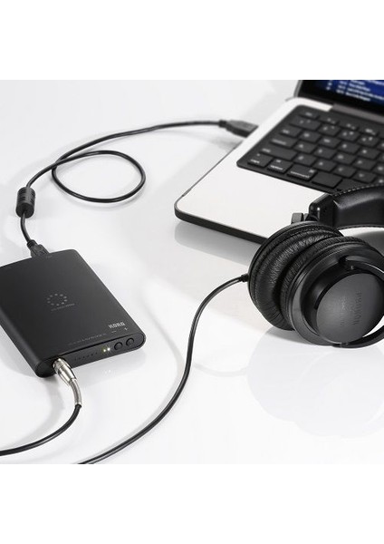 DS-DAC-100M 1-Bit Mobile Usb-Dac Kayıt Cihazı