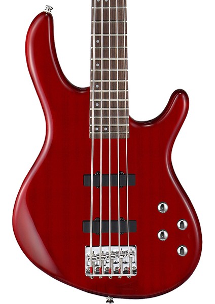 AB5PLUSTR Bas Gitar Aktif 5 Telli