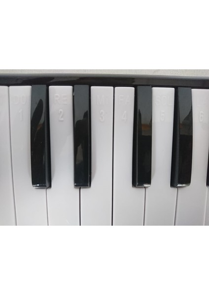 CR32BK Melodika 32 Tuşlu Siyah Eva Çantalı