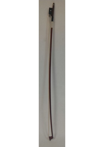 WV895 Keman Yay Pernambuco 4/4