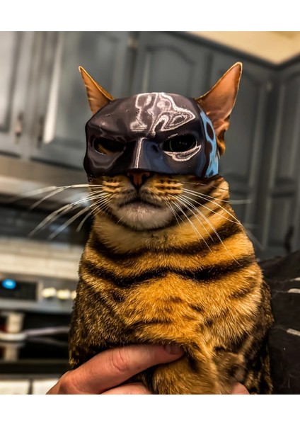 Kedi Batman Maskesi