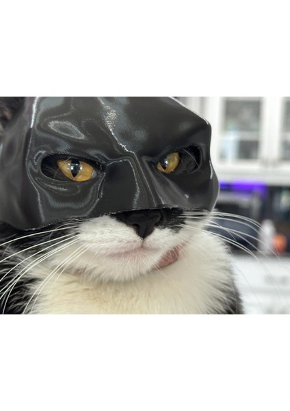 Kedi Batman Maskesi