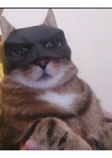 Kedi Batman Maskesi