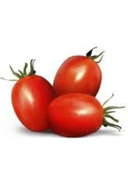 20 Adet Tohum Çerez Domates Tohumu Atıştırmalık Domates Tohumu Sebze Tohumludur fiyatları
