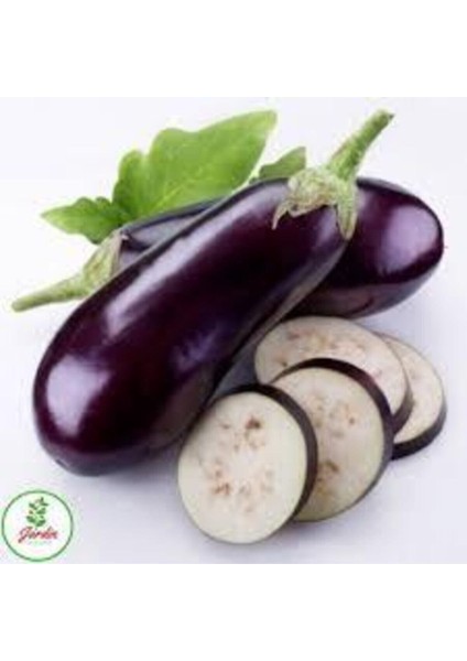 40 Adet Tohum Yerli Kemer Patlıcan Tohumu Uzun Kemer Patlıcan Tohumulu fiyatları