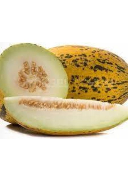 100 Adet Tohum Kırkağaç Ince Kabuk Altınbaş Kavun Tohumu