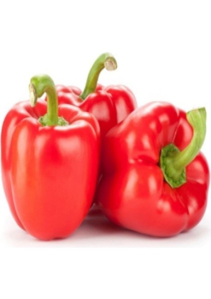 Kırmızı Acı Dolmalık Biber Tohumu 15 Adet Tohum