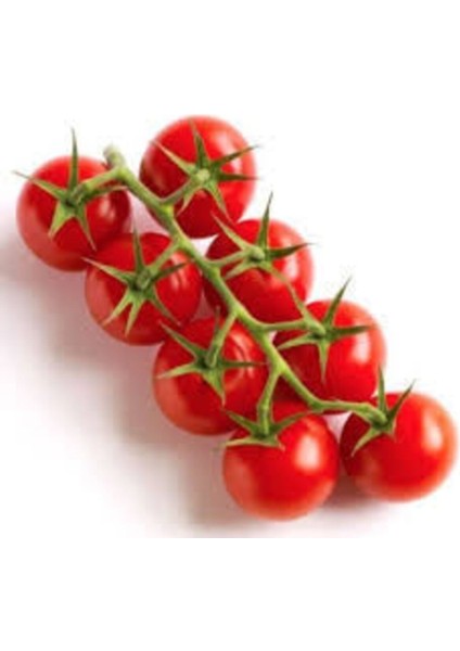 Nadir Beşdeli Erkenci Salkım Domates Tohumu 30 Adet Tohum fiyatları