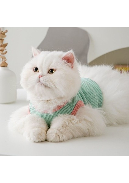 Yaz Kedicik Ince Ekose Yelek Giyim (Yurt Dışından) modelleri