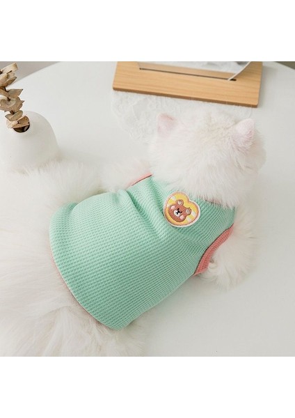 Yaz Kedicik Ince Ekose Yelek Giyim (Yurt Dışından) fırsatları