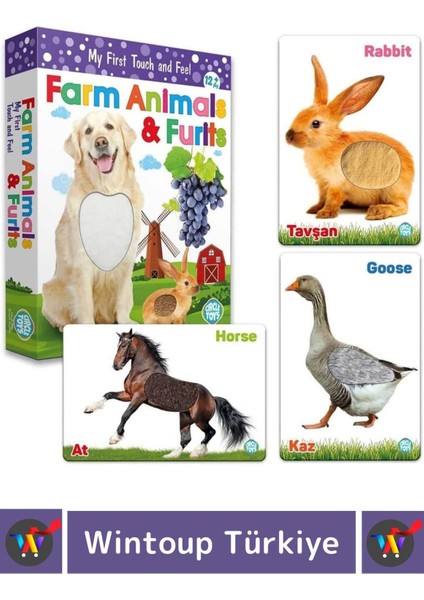 Premium Eğitici Görsel Algı Dil Öğrenme Eğlenceli Öğrenme Dokun Hisset Çiftlik Hayvanları&meyveler modelleri
