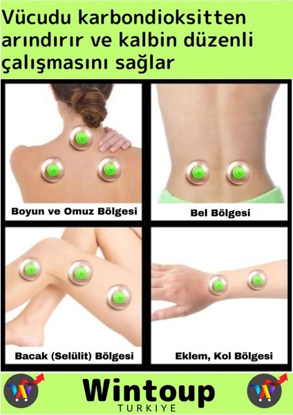 Çatlak Giderici Vakumlu 6 Numara Hacamat Kupası 100 Adet fiyatları